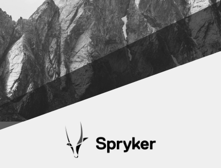 Spryker solution for mobile | igniti