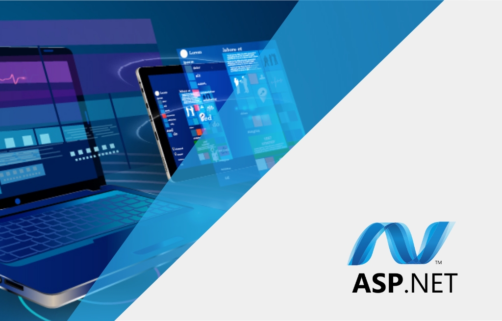 ASP.NET for platform and portal development